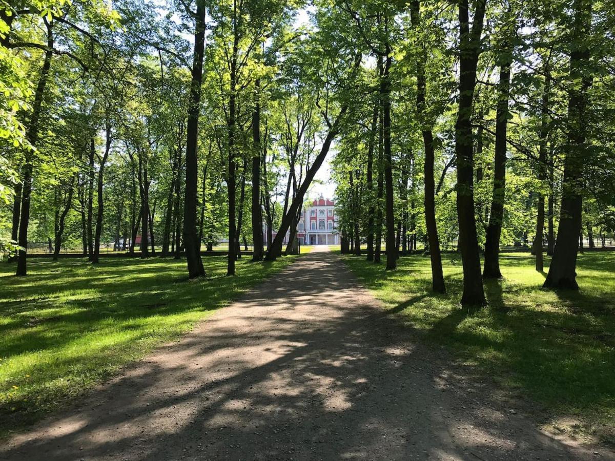 1 Bedroom Apartment Near Kadriorg Swan Pond Reval Esterno foto